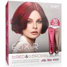 ASP Elixir Colour 10 Tube bRED/ bBROWN Intro Kit