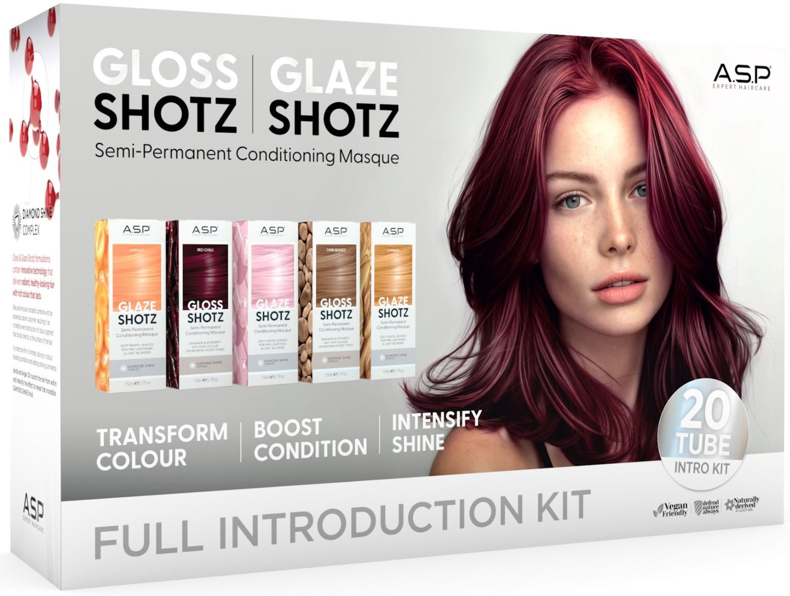 ASP Gloss & Glaze Intro Kit