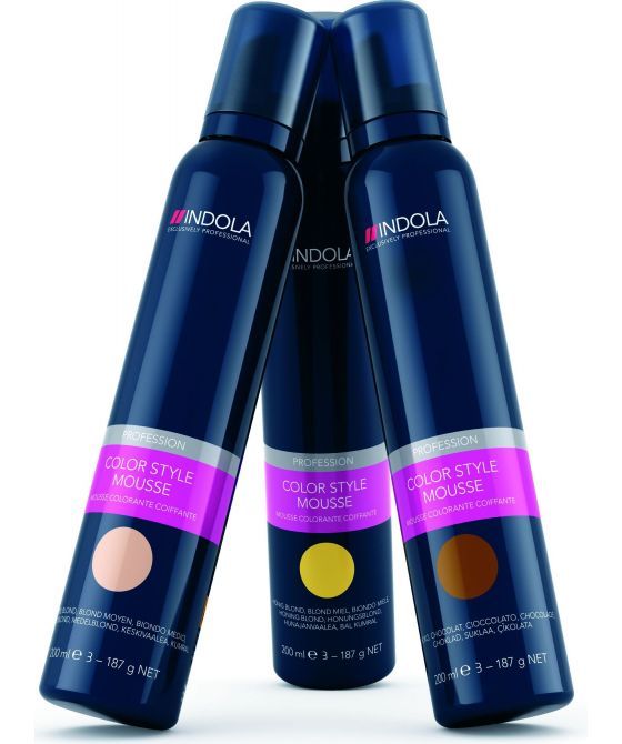 angst Aardrijkskunde heet Indola Color Style Mousse 200ml