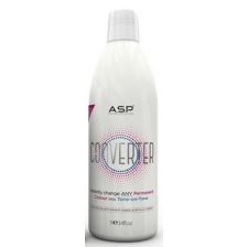 ASP Converter 