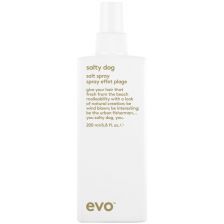 EVO - Salty Dog Salt Spray 