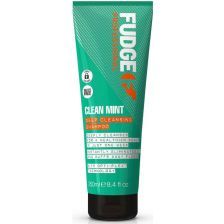 Fudge Clean Mint Deep Cleansing Shampoo 250ml