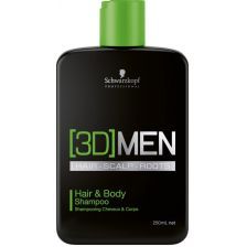 Schwarzkopf 3DMen Hair & Body Shampoo 