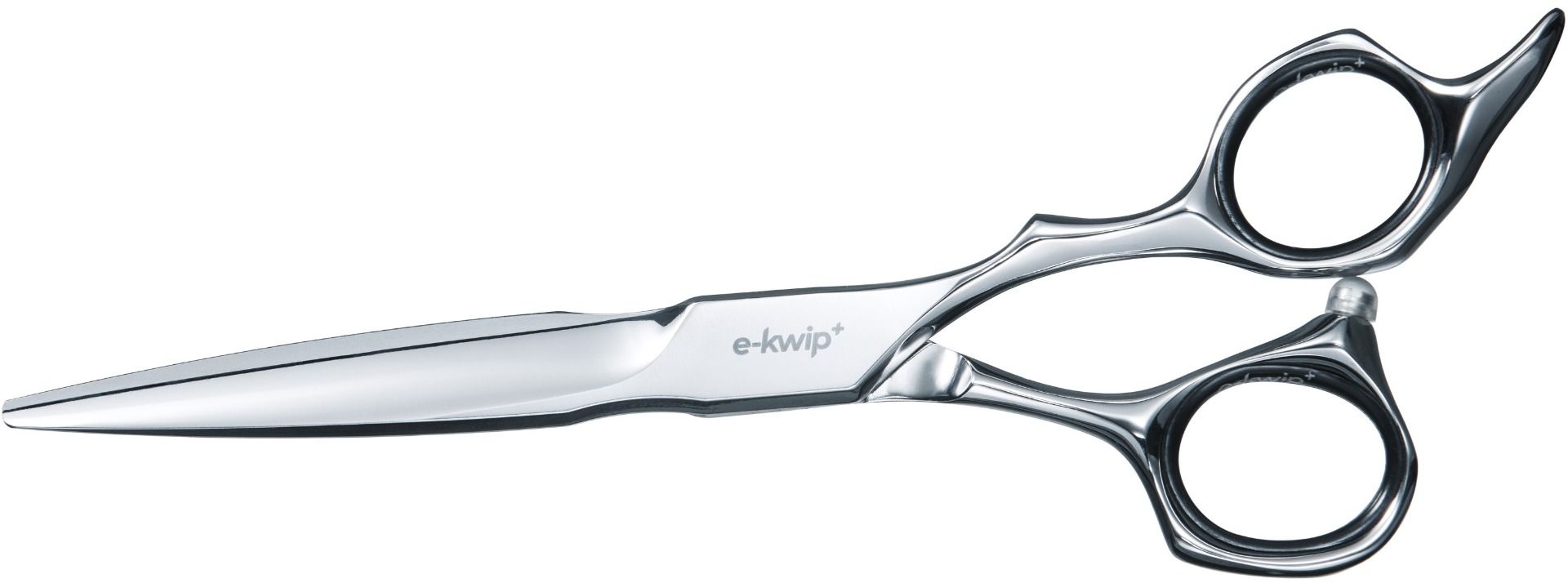 E-Kwip Plus Future 55