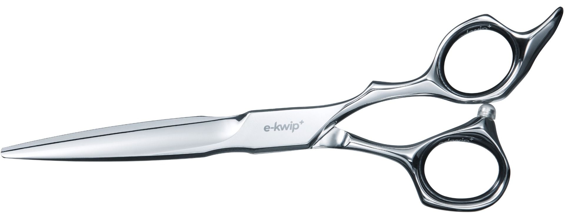 E-Kwip Plus Future 60