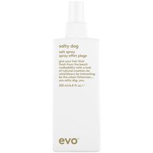 EVO - Salty Dog Salt Spray