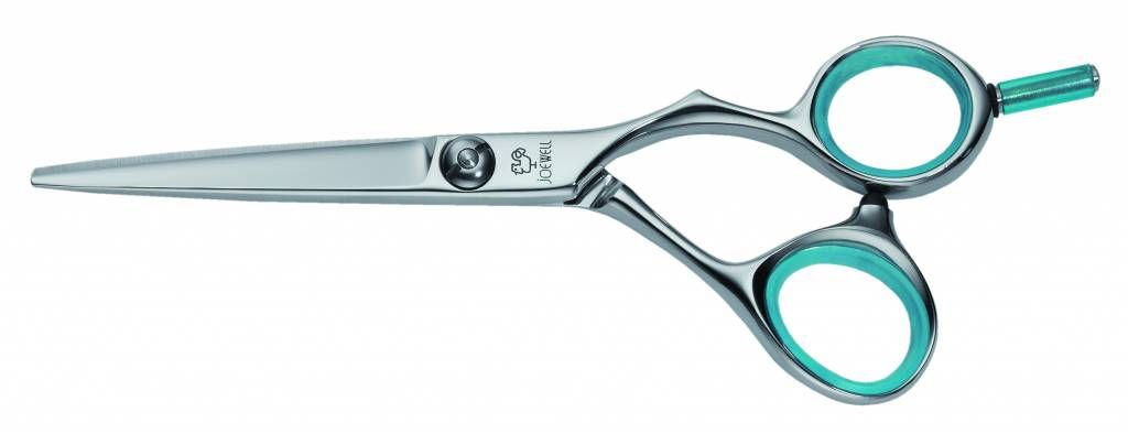 Joewell Liberty Control 