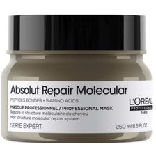 L'oreal SE Absolut Repair Molecular Masker
